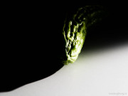 Emerging