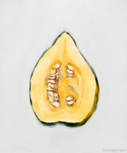 Cucurbita (Squash)