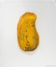 Mangifera (Mango)
