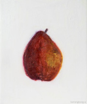 Pyrus communis (Pear)