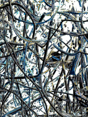 Entropy
