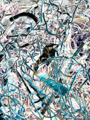 Entropy