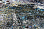 Entropy