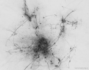 Traces