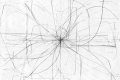 Centric Field