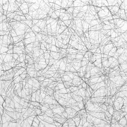 Isotropy