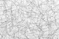 Isotropy