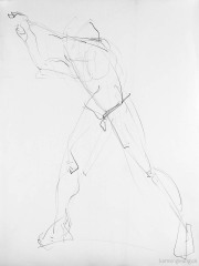 Contour Drawing