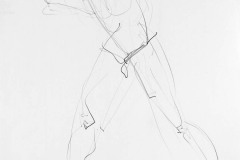 Contour Drawing