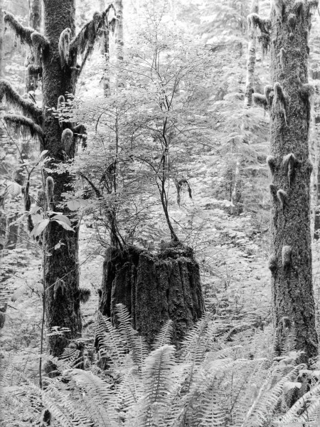 "Of what is past, or passing, or to come." (W.B. Yeats)