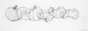 Squash