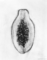 Papaya (Section)