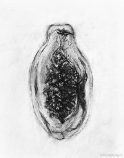 Papaya (Section)