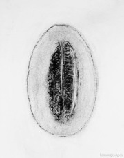 Hami Melon (Section)