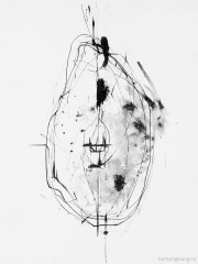 Fruit (Section)