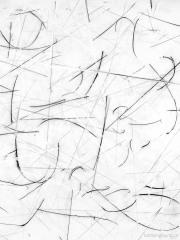 Straight Lines and Curves