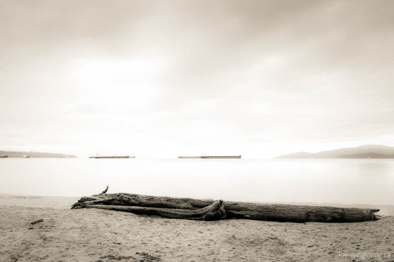 Repose