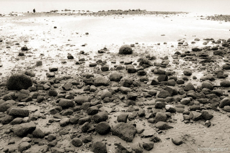 A Clam-Collector